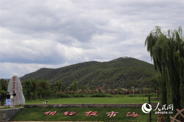 麗江市拉市海景區(qū)。 人民網(wǎng)記者 程浩攝