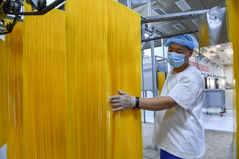 2024年1月25日，在吉林省公主嶺市的一家公司車(chē)間，工人查看玉米面條生產(chǎn)情況。