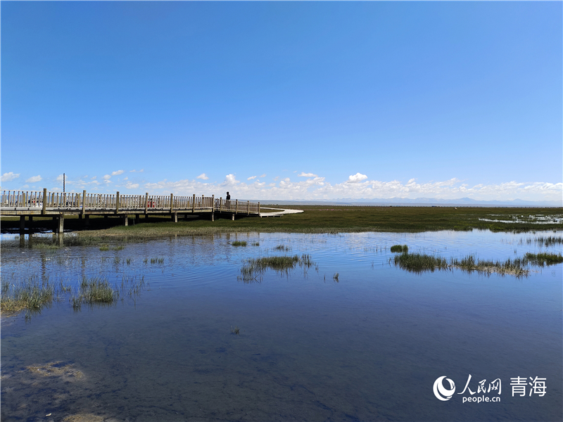   青海湖仙女灣。人民網(wǎng) 張莉萍攝