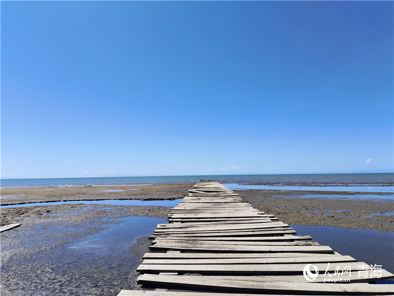   青海湖仙女灣。人民網(wǎng) 張莉萍攝