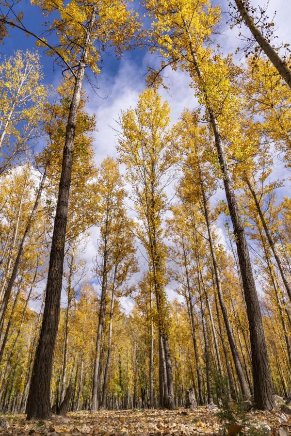 跟我，踏上最美“景觀大道”