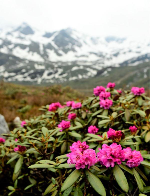 跟我，踏上最美“景觀大道”