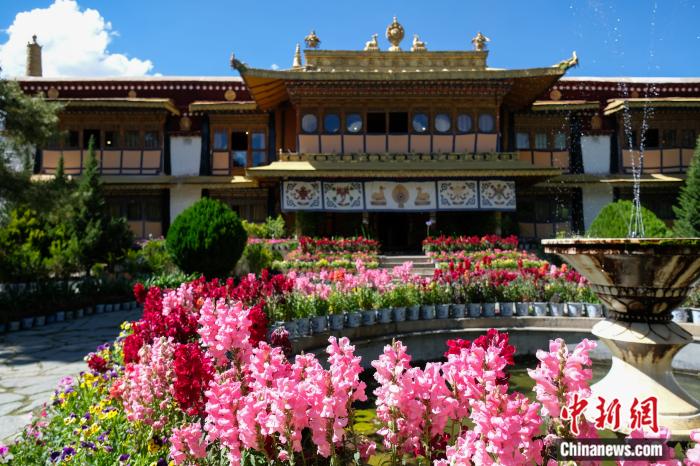 圖為夏日羅布林卡(資料圖)。趙朗攝