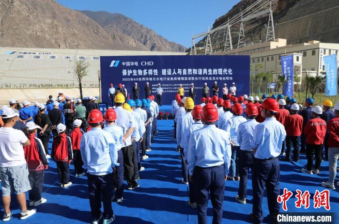 圖為蘇洼龍水電站魚類放流現(xiàn)場(chǎng)?！√K洼龍水電站供圖