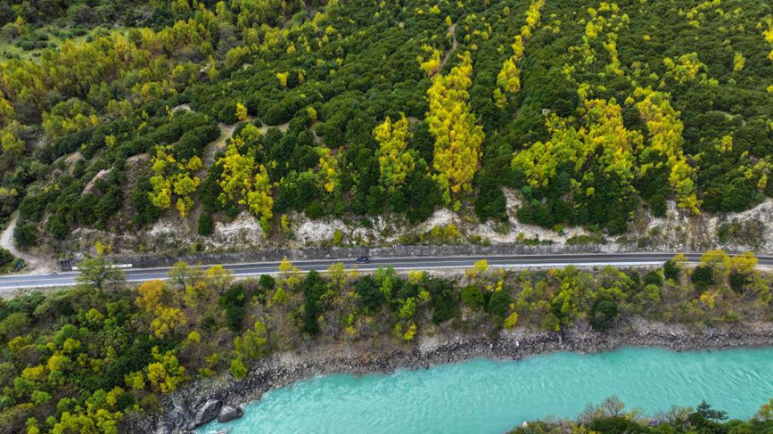 去往墨脫的路上，秋色正明。張澤坤攝